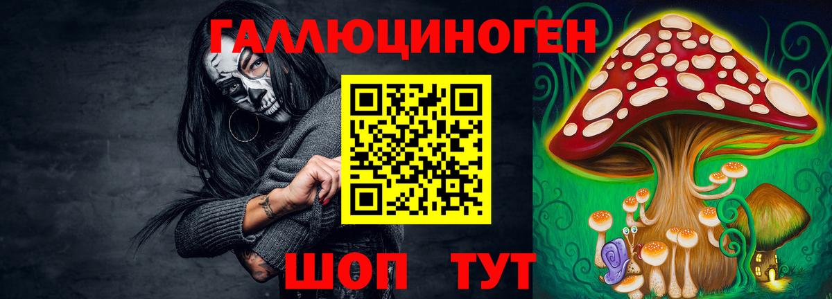 Галлюциногенные грибы Cubensis Медногорск